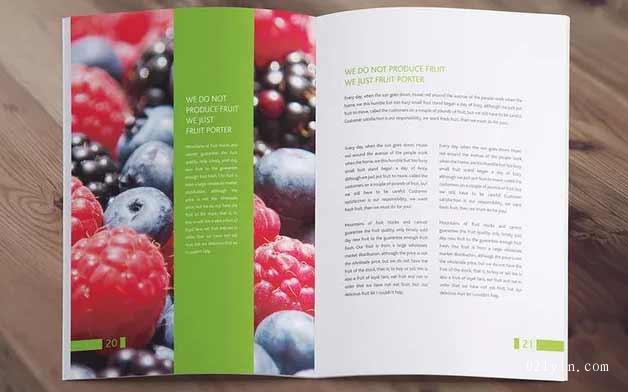 產(chǎn)品畫冊印刷時尚性的展示風格